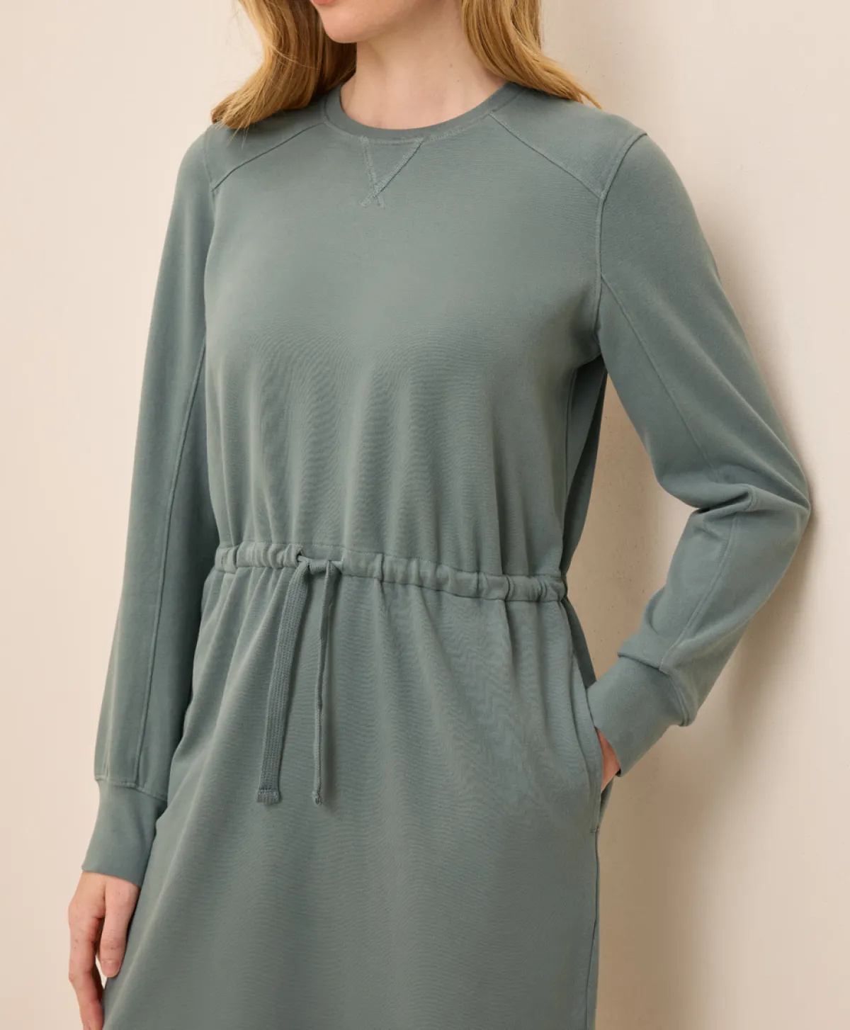 Women Pact Organic Cloudknit Sweatshirt Dress