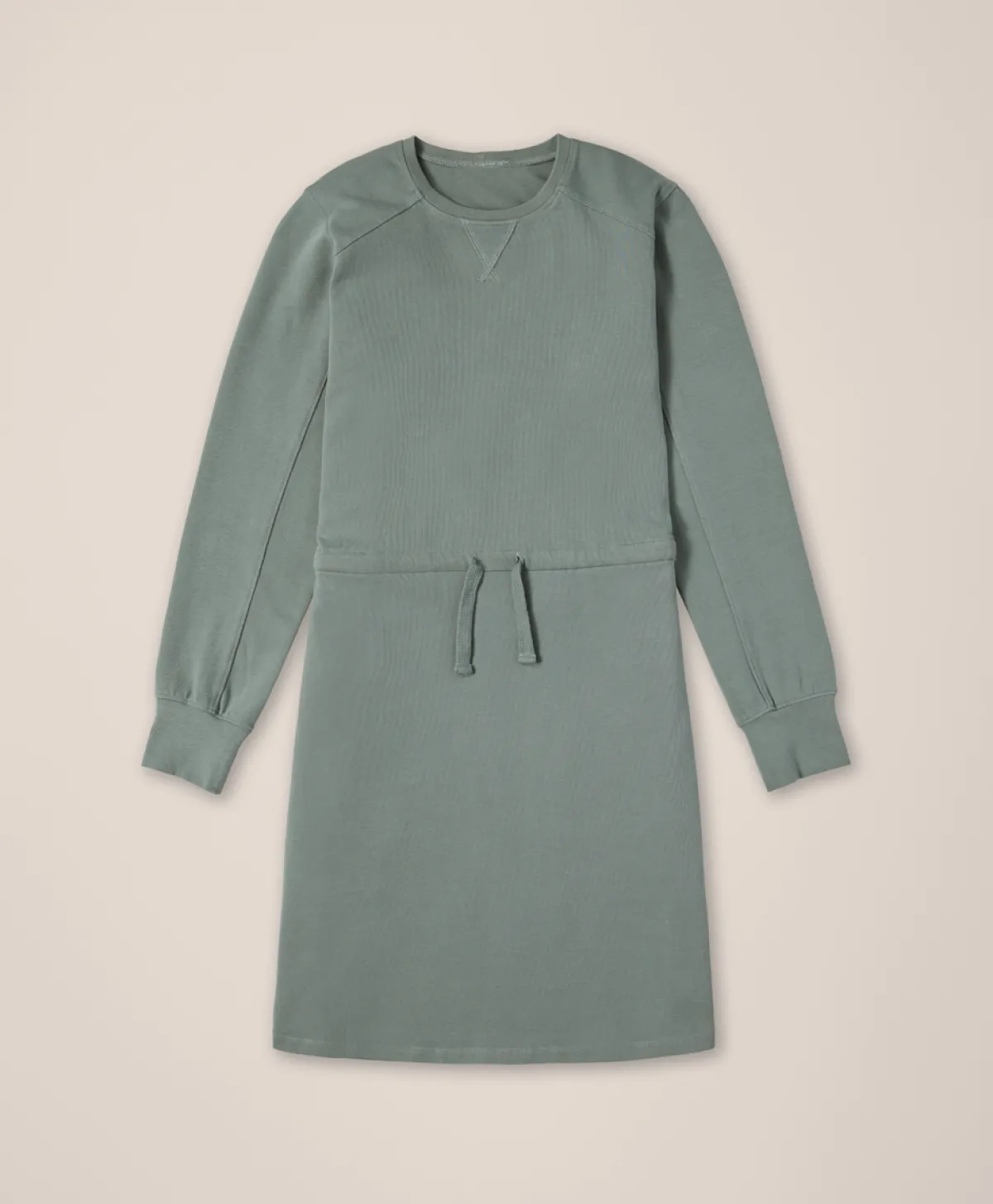 Women Pact Organic Cloudknit Sweatshirt Dress